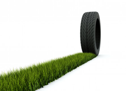 A strip of grass leads to an upright tyre.