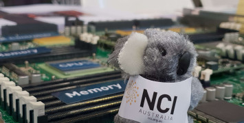 A koala soft toy wearing an NCI jacket sits on top of an open computer server for display.