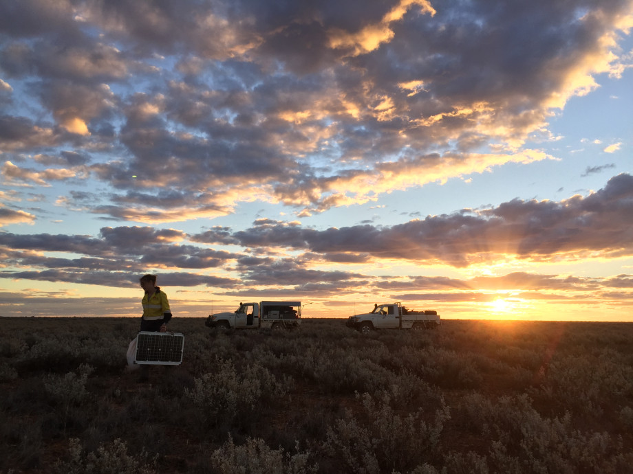Dr Kate Robertson stands in a scrubby bush land holding a solar panel. Two utility vehicles are in the background. The sun is setting in the distance.