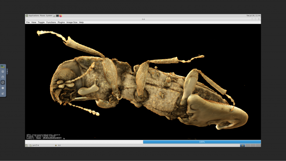 A screenshot from the Drishti visualisation application running in a virtual desktop, showing a high resolution scan of an ant.