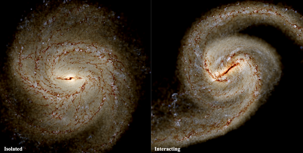 Image: mock observations of simulated galaxies with central bars. Left: isolated evolutionary history. Right: interacting evolutionary history, a small fly-by promoted early bar formation.