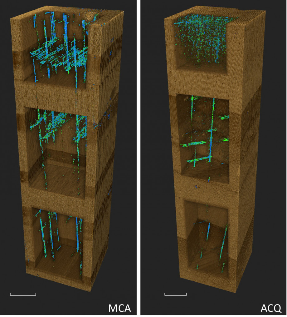 Two close up models of pieces of treated pine with cutouts showing copper deposits in blue arranged in rays.