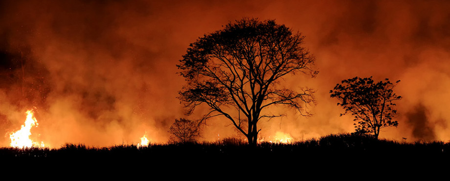 Protecting lives and property from extreme bushfire | NCI