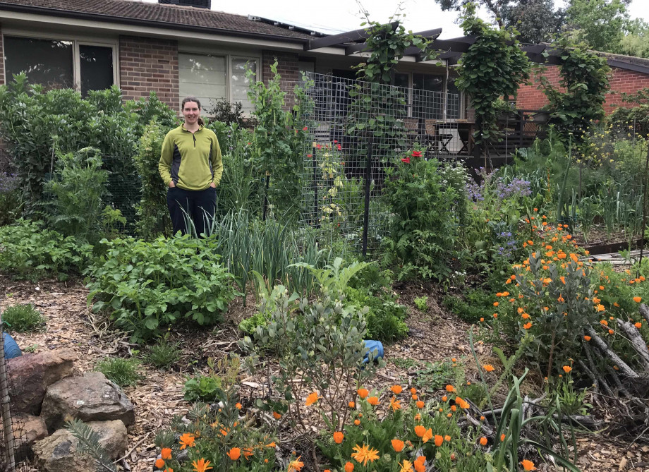 A suburban garden