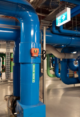 Many tightly packed blue pipes bend and weave their way through a complex plant room.