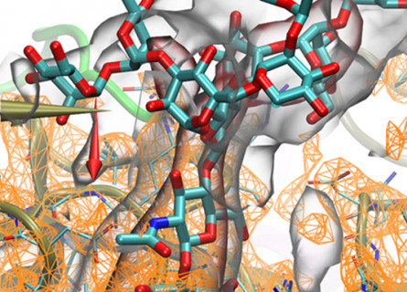 A tangle of different interacting molecules rendered in blue and red sticks, orange lines and green ribbons.