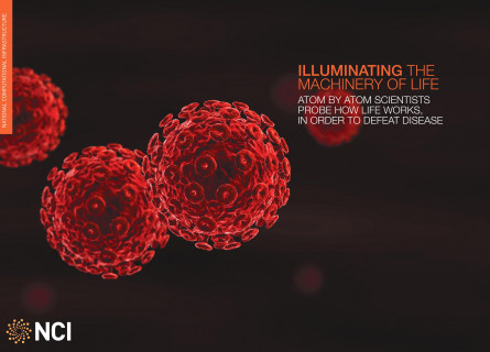 Three round red balls covered in the small donut shapes of red blood cells.