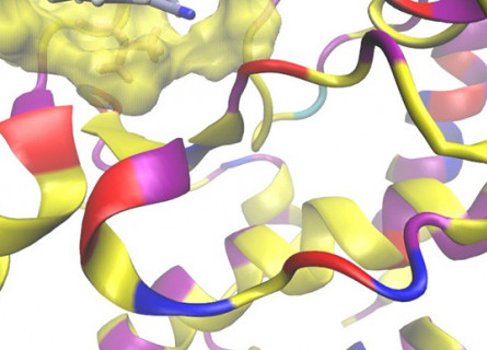 Scientific graphic showing multicoloured coils representing interacting proteins and drugs.