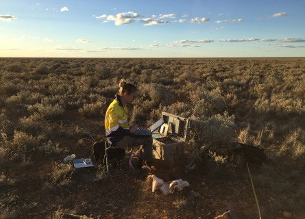 Dr Kate Robertson sits in scrubby bush in a field operating scientific equipment.