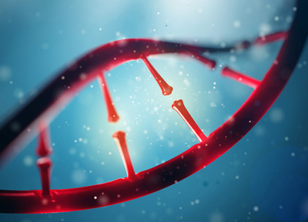 Artist's impression of a strand of DNA coloured red seen close up.