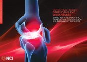 Artist's impression of a strong glow of red light at the knee joint.