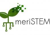 The meriSTEM logo, two simplified leaves with pixelated tips and electrical circuit roots.