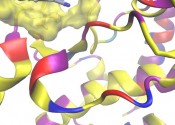 Scientific graphic showing multicoloured coils representing interacting proteins and drugs.