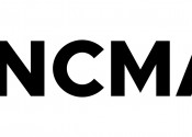 A red and blue arrow fading into small pixels on the left edges and pointing to the right towards the letters NCMAS.