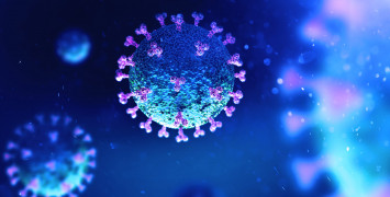 Artist’s impression of the spherical coronavirus with the well-known spikes sticking out from its surface.