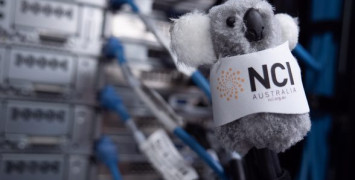 A soft toy koala a few centimetres tall clipped to a data cable going into a rack of computer servers.